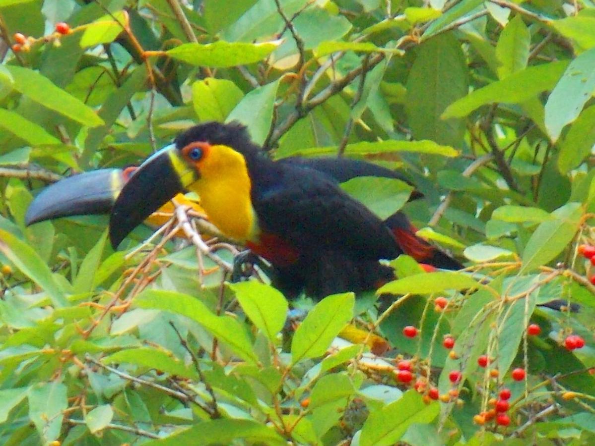 Hotel Sol Do Pernambuco Guarujá Dış mekan fotoğraf